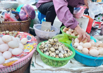 Rau xanh tăng 20-30%, giá trứng vịt liên tục lập đỉnh