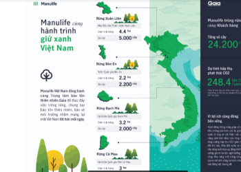 Manulife Việt Nam tiếp tục thúc đẩy mục tiêu chống biến đổi khí hậu với cam kết trồng rừng