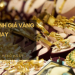So sánh giá vàng hôm nay 14/12: Vàng 24K tăng từ 200.000 đồng/lượng đến 300.000 đồng/lượng
