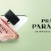 Prada Paradoxe – Biểu Tượng mới trong làng nước Hoa