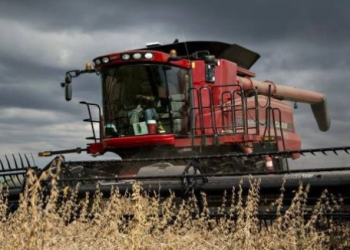 Nhập khẩu hàng triệu tấn trong năm qua, mặt hàng “cứu tinh” của ngành chăn nuôi Việt Nam đang khan hiếm trên toàn cầu, Trung Quốc mạnh tay nhập khẩu