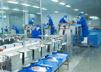 Đà Nẵng: Gặp khó khăn, nhiều doanh nghiệp rút lui khỏi thị trường trong 2 tháng đầu năm