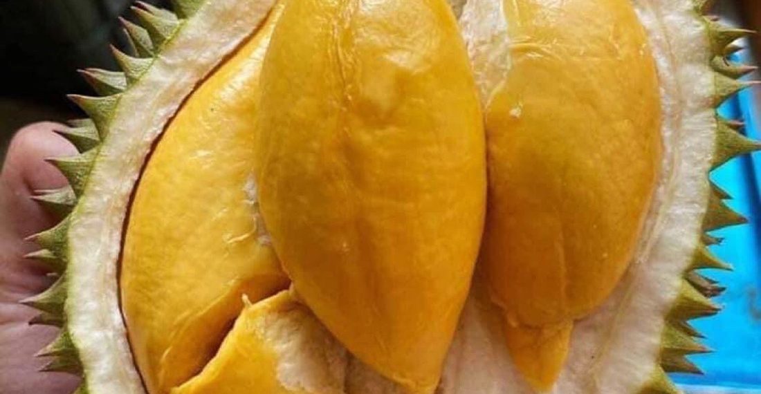 Mải mê xuất sầu riêng sang Trung Quốc, hàng Thái tràn chợ Việt bán giá cao