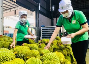 Doanh nghiệp cần chủ động kịch bản ứng phó khi xuất khẩu tụt dốc