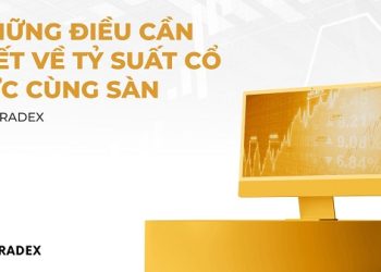 Những Điều Cần Biết Về Tỷ Suất Cổ Tức Cùng Sàn AM TRADEX