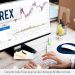 Forex là gì? Nhà đầu tư Việt Nam cần biết gì trước khi đầu tư Forex?