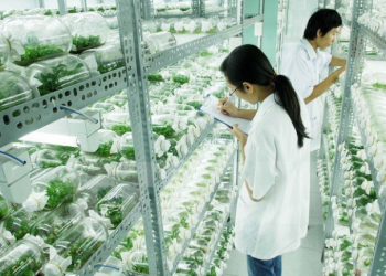 Nâng cao hiệu quả đào tạo nguồn nhân lực phục vụ ngành nông nghiệp và phát triển nông thôn