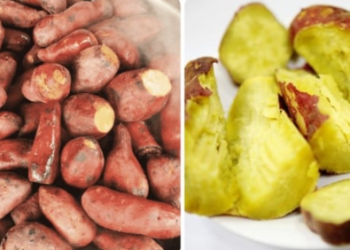 Điều gì sẽ xảy ra nếu bạn thường xuyên ăn khoai lang luộc?