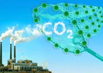 Thị trường carbon Việt Nam vận hành chính thức từ năm 2028