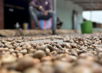 ‘Tinh túy’ của nông sản Việt được các đại gia dầu mỏ cực kỳ ưa chuộng: xuất khẩu tăng mạnh 3 chữ số, tổng thu về hơn 2 tỷ USD