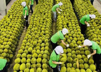 Xuất khẩu nông sản – Điểm sáng của ngành nông nghiệp Việt Nam