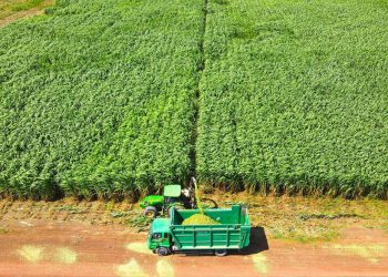 Lấn sân nông nghiệp, THACO sẽ tuyển dụng mới hơn 12.000 lao động