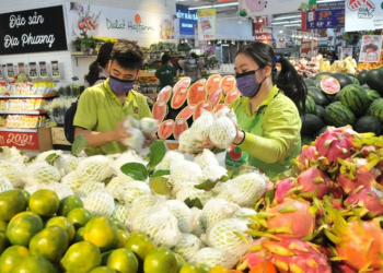 Nhiều lưu ý cho doanh nghiệp xuất khẩu rau quả sang Hàn Quốc