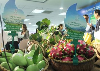 Saigon Co.op cùng nông dân xây dựng chiến lược phát triển vùng nguyên liệu bền vững bảo vệ sức khỏe người tiêu dùng