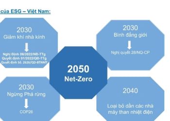 Hội thảo: Hiểu và triển khai đánh giá ESG (môi trường, xã hội, quản trị) và CBAM cho các thực hành kinh doanh bền vững