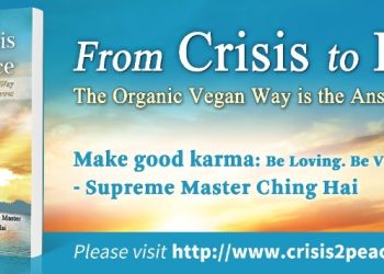 Cuộc khủng hoảng khí hậu: Những dấu hiệu cảnh báo để thức tỉnh nhân loại và những thảm họa ngày càng gia tăng