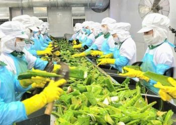 GC Food đặt mục tiêu doanh thu 716 tỷ đồng, dự kiến chia cổ tức 16%