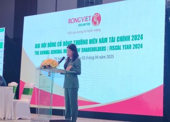 “Chứng khoán Rồng Việt (Rồng Việt) (HOSE: VDS) báo cáo tài chính năm 2024” Định hướng kế hoạch kinh doanh năm 2025   Ngày 03/04/2025