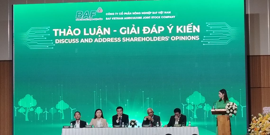 BAF báo cáo tài chính năm 2024: Chiến lược kinh doanh năm 2025