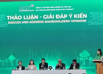BAF báo cáo tài chính năm 2024: Chiến lược kinh doanh năm 2025
