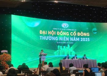 Quốc Cường Gia Lai muốn đổi tên sau 3 thập kỷ: Doanh thu 2.000 tỷ đồng, tăng 2,7 lần so với  năm 2024