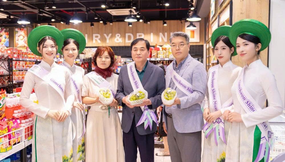 Nho Shine Muscat dẫn đầu xu hướng khi Thành phố Gimcheon quảng bá nông sản tại Việt Nam
